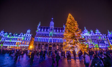 Bruxelles a Natalesi veste di magia. I mercatini sono un’attrazione irrinunciabile