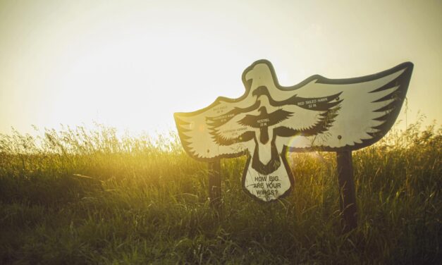 NORTH DAKOTA: 8 LUOGHI DOVE AMMIRARE  LA FAUNA SELVATICA