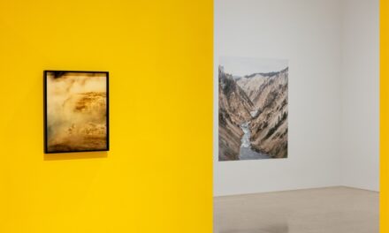 Da domani, 17 gennaio, al 18 febbraio 2024 Triennale Milano presenta la mostra Giulia Mangione “The Fall”