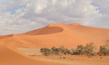La Namibia di Earth Viaggi. Previste tre partenze ad agosto