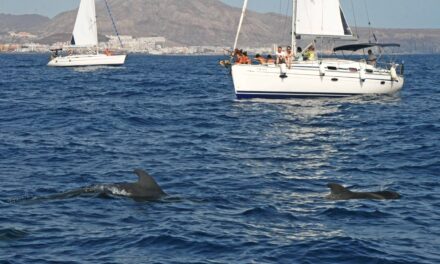 Le Isole Canarie e la meraviglia delle balene
