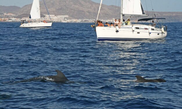 Le Isole Canarie e la meraviglia delle balene