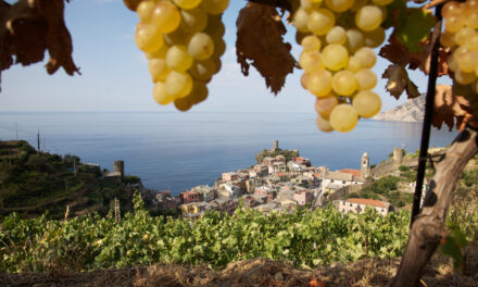 Parco Nazionale Cinque Terre: nuovi progetti identitari, immagini e segni per ispirare il futuro.