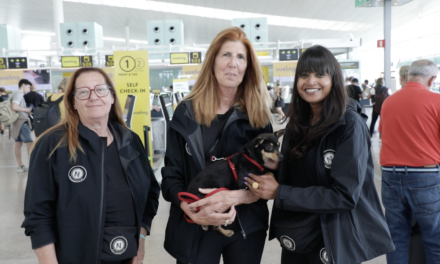 Adozioni a portata di volo.Vueling e Nasoni and Friends ODV insieme per l’International Dog Day