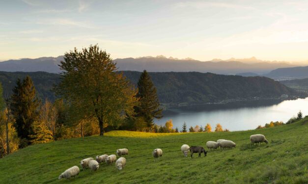 Bagni freschi sotto il sole d’autunno della Carinzia