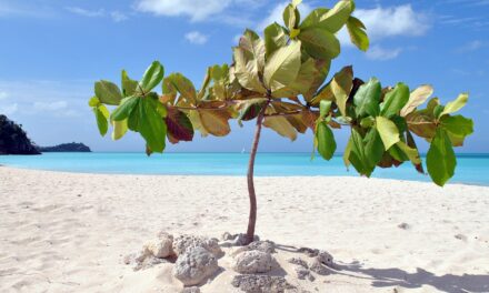 I Caraibi d’estate: Antigua e Barbuda rilanciano l’offerta tra eventi e cultura