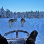 Esperienze  autentiche nella Lapponia Svedese