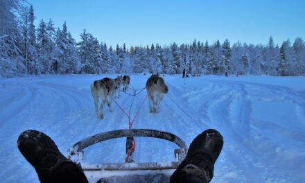 Esperienze  autentiche nella Lapponia Svedese