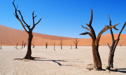 Reportage: LA MIA NAMIBIA