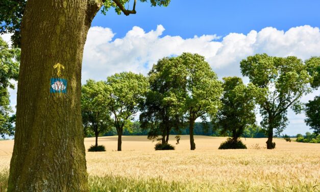 Spagna verde: benvenuti nella nuova frontiera del turismo sostenibile in Europa