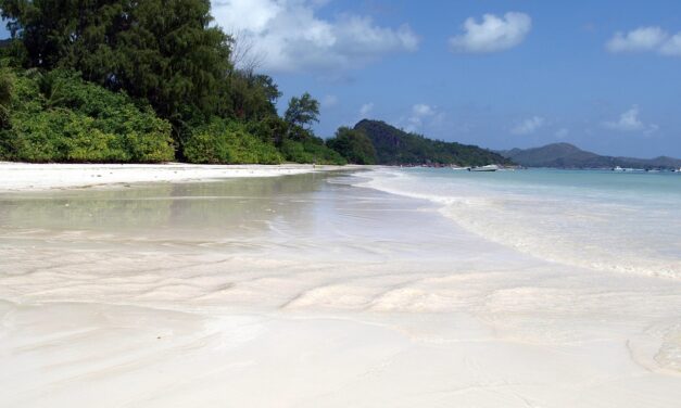 AIR SEYCHELLES PUNTA SULL’ITALIA: TAL AVIATION GUIDERÀ LO SVILUPPO COMMERCIALE