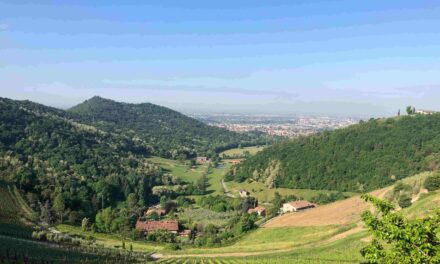 Le Terre del Vescovado: un patrimonio paesaggistico e artistico unico