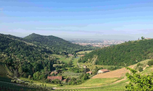 Le Terre del Vescovado: un patrimonio paesaggistico e artistico unico