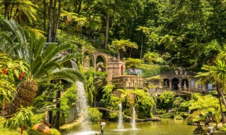 Alla scoperta di Porto Santo e Madeira