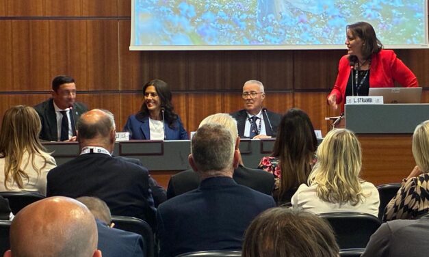 Fiavet: l’agente di viaggio tra est e ovest: strategie globali a confronto al TTG di Rimini