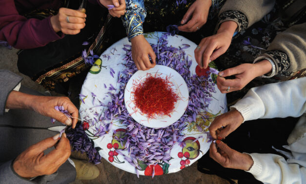 “NON C’È GIUSTIZIA CLIMATICA SENZA GIUSTIZIA ALIMENTARE”: SLOW FOOD PORTA IL CIBO AL CENTRO DELLA COP30