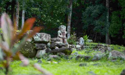 Polinesia segreta: le avventure “fuori dall’acqua”