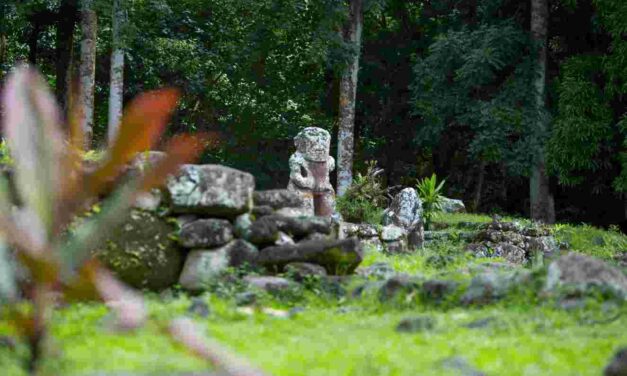 Polinesia segreta: le avventure “fuori dall’acqua”