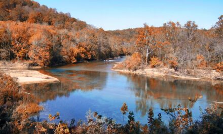 IL SUD DEGLI STATI UNITI UN MIX DI MUSICA E NATURA