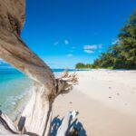 SEYCHELLES, ARCHIVIATO 2025 DA RECORD SI PARTE COL VENTO IN POPPA