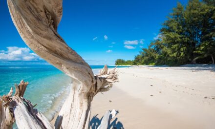 SEYCHELLES, ARCHIVIATO 2025 DA RECORD SI PARTE COL VENTO IN POPPA