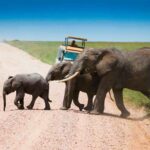 Turisanda1924 reinventa il viaggio di nozze: esperienze su misura tra avventura, ritualità locali e resort da sogno