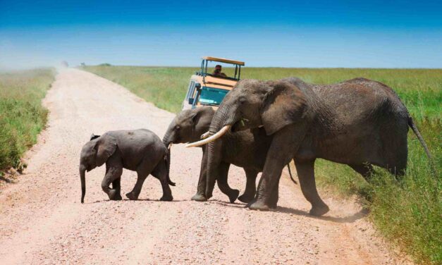 Turisanda1924 reinventa il viaggio di nozze: esperienze su misura tra avventura, ritualità locali e resort da sogno