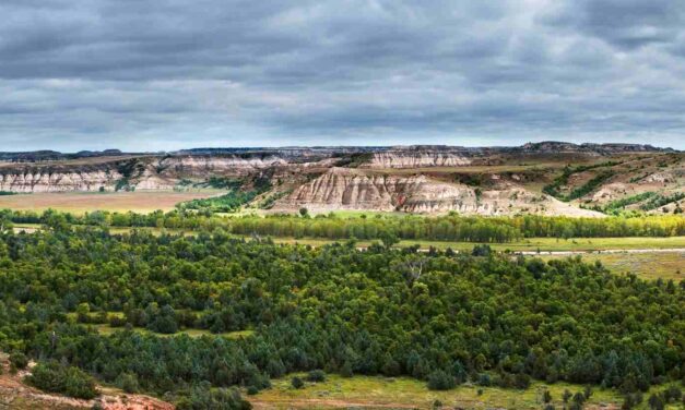 Nelle Badlands di Roosevelt la nuova Presidential Library che trasforma il North Dakota in meta culturale