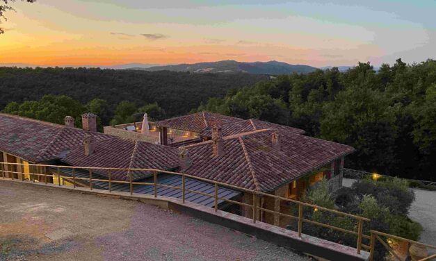 Tenuta Pomario punta sul turismo esperienziale. Dai wine tasting ai wedding in barricaia