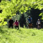 IL CANTON TICINO IN BICICLETTA TRA LAGHI, MONTAGNE E BORGHI STORICI