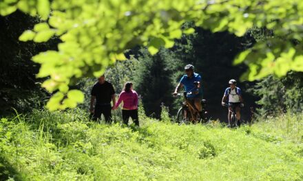 IL CANTON TICINO IN BICICLETTA TRA LAGHI, MONTAGNE E BORGHI STORICI