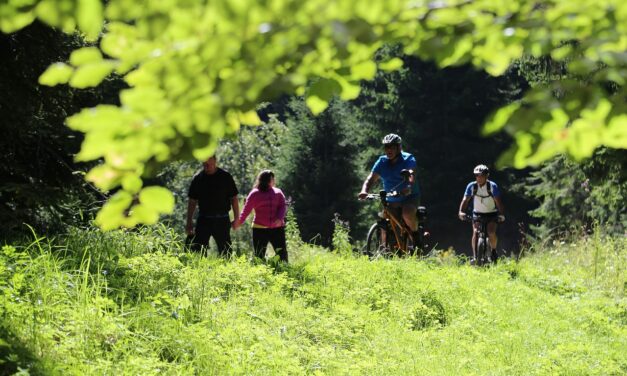 IL CANTON TICINO IN BICICLETTA TRA LAGHI, MONTAGNE E BORGHI STORICI