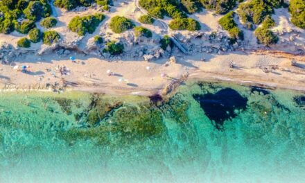 PER MAPO TRAVEL IL 2026 E’ INIZIATO POSITIVAMENTE. BENE L’ITALIA, MA ANCHE LE NOVITA’ FRA MEDIO E LUNGO RAGGIO