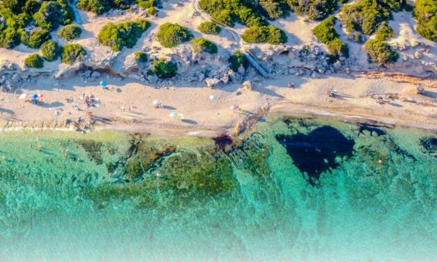 PER MAPO TRAVEL IL 2026 E’ INIZIATO POSITIVAMENTE. BENE L’ITALIA, MA ANCHE LE NOVITA’ FRA MEDIO E LUNGO RAGGIO