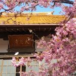 L&rsquo;Anima del design giapponese: 5 concetti per vedere la bellezza