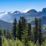 Svizzera: 20 parchi da vivere e gustare tra natura e tradizione