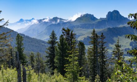 Svizzera: 20 parchi da vivere e gustare tra natura e tradizione