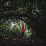 L’Irlanda che non ti aspetti. Itinerari slow e connessioni autentiche per rigenerarsi