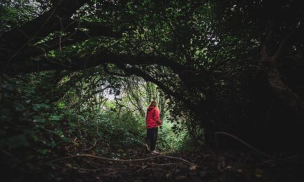 L’Irlanda che non ti aspetti. Itinerari slow e connessioni autentiche per rigenerarsi