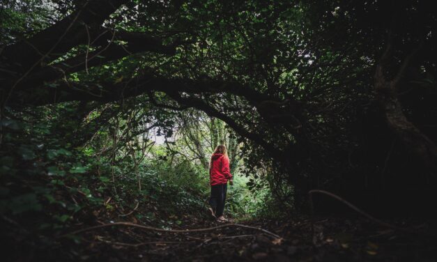 L’Irlanda che non ti aspetti. Itinerari slow e connessioni autentiche per rigenerarsi