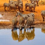 L&rsquo;Africa d&rsquo;autore firmata Glamour. Le nuove rotte estive tra safari e charme