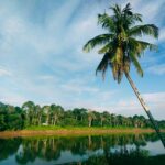 Malesia, Sarawak e Borneo. Un viaggio tra natura primordiale e futuro