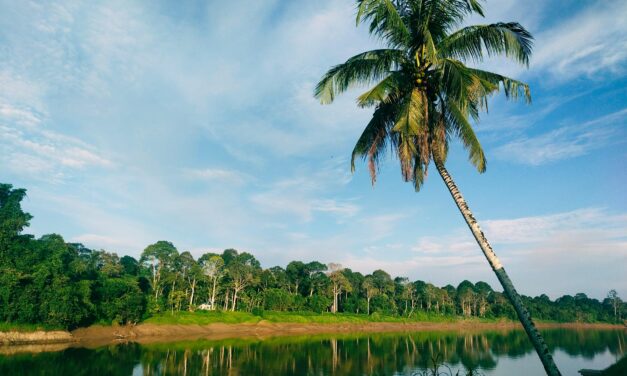 Malesia, Sarawak e Borneo. Un viaggio tra natura primordiale e futuro