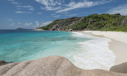 Il sapore autentico delle Seychelles: alla scoperta del friyapen