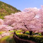 La nuova mappa di Kyoto. Sostenibilit&agrave; e ritmi rurali contro l&rsquo;affollamento urbano