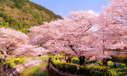 La nuova mappa di Kyoto. Sostenibilit&agrave; e ritmi rurali contro l&rsquo;affollamento urbano