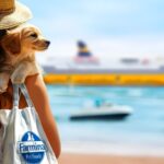 Corsica Sardinia Ferries mette al centro il comfort dei pet in mare