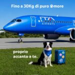 ITA Airways apre le porte ai cani di taglia grande in cabina