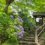 KYOTO, L’ESTATE SI VIVE TRA FESTIVAL, TEMPLI E NUOVE ESPERIENZE CULTURALI