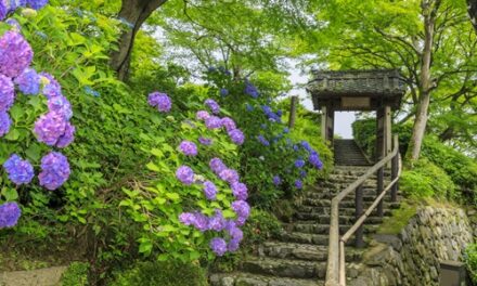 KYOTO, L’ESTATE SI VIVE TRA FESTIVAL, TEMPLI E NUOVE ESPERIENZE CULTURALI